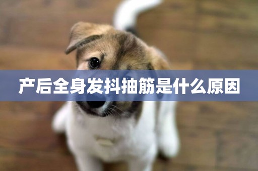 產后全身發抖抽筋是什么原因