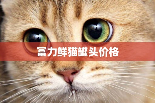 富力鮮貓罐頭價格