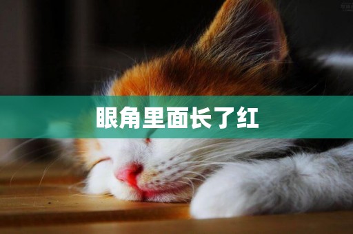 眼角里面長了紅