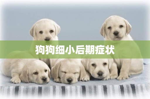 狗狗細小后期癥狀