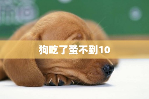 狗吃了蚤不到10