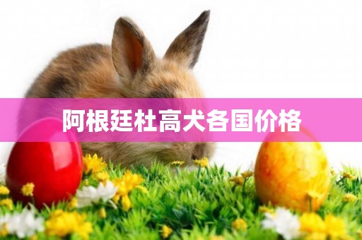 阿根廷杜高犬各國價格