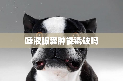 唾液腺囊腫能戳破嗎