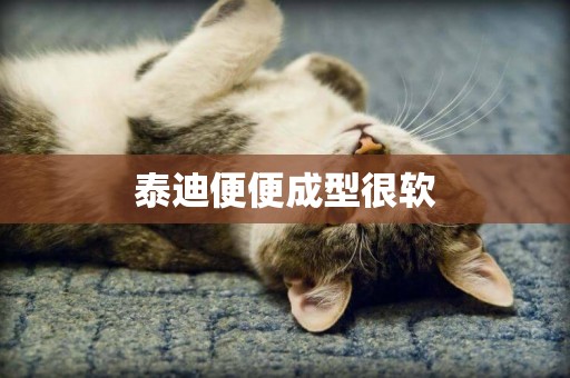 泰迪便便成型很軟