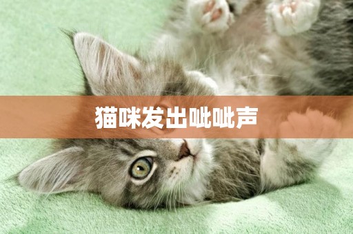 貓咪發出呲呲聲