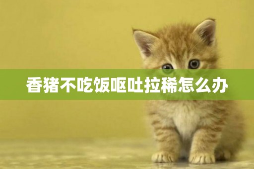 香豬不吃飯嘔吐拉稀怎么辦