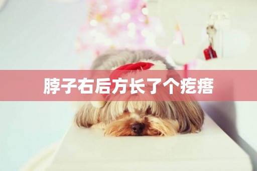 脖子右后方長了個疙瘩