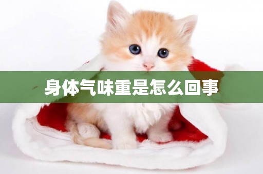 身體氣味重是怎么回事