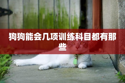 狗狗能會幾項訓練科目都有那些