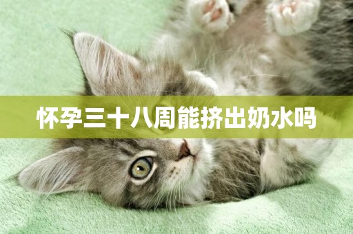 懷孕三十八周能擠出奶水嗎