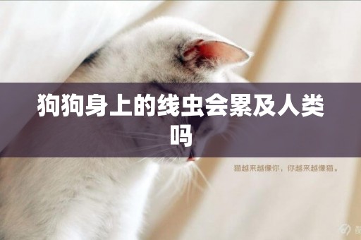 狗狗身上的線蟲會累及人類嗎