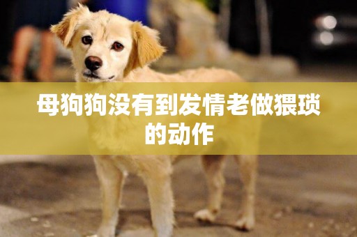 母狗狗沒有到發情老做猥瑣的動作