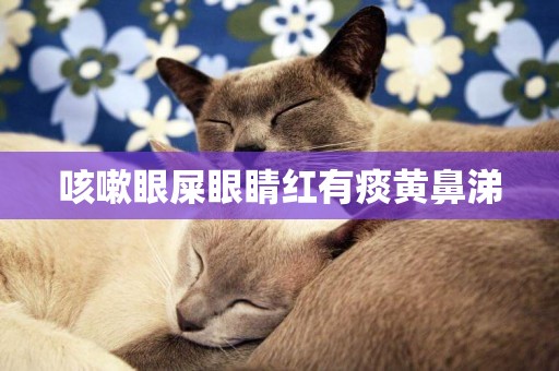 咳嗽眼屎眼睛紅有痰黃鼻涕