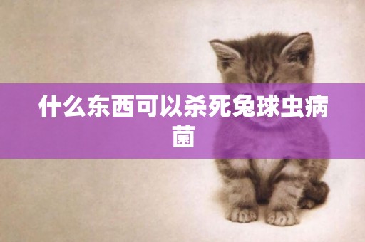 什么東西可以殺死兔球蟲病菌