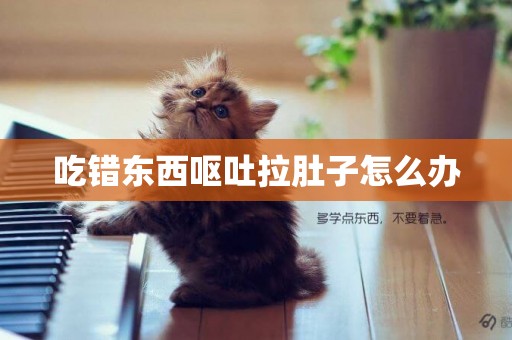 吃錯東西嘔吐拉肚子怎么辦