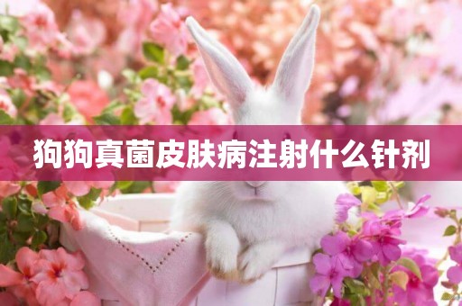 狗狗真菌皮膚病注射什么針劑