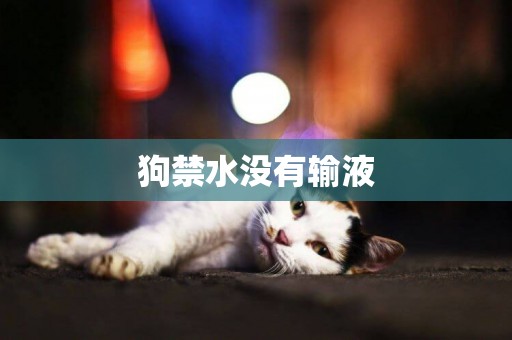 狗禁水沒有輸液