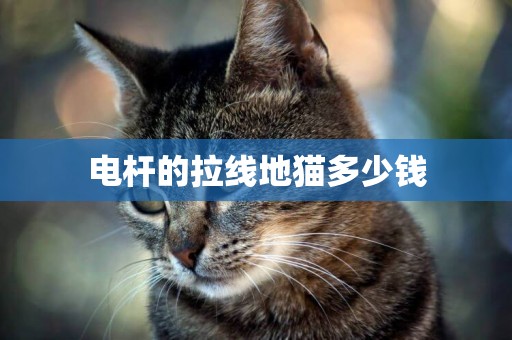電桿的拉線地貓多少錢