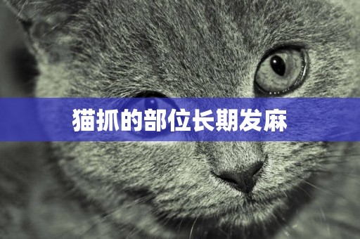 貓抓的部位長期發麻