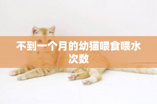 不到一個月的幼貓喂食喂水次數