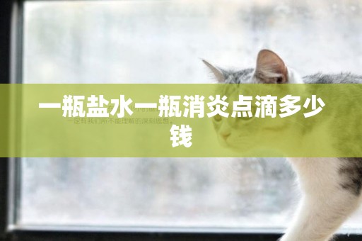 一瓶鹽水一瓶消炎點滴多少錢