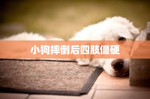 小狗摔倒后四肢僵硬