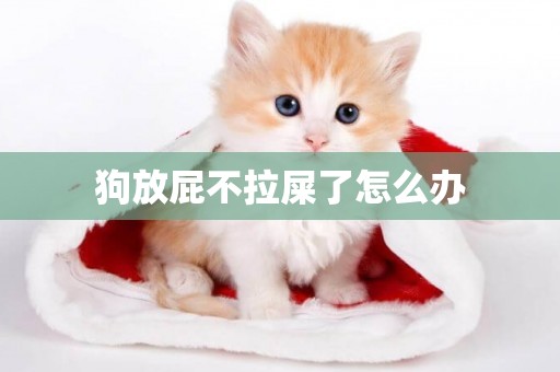 狗放屁不拉屎了怎么辦