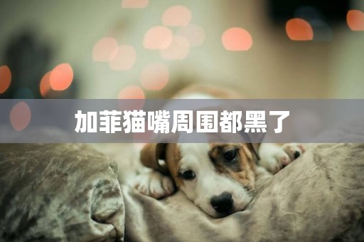 加菲貓嘴周圍都黑了