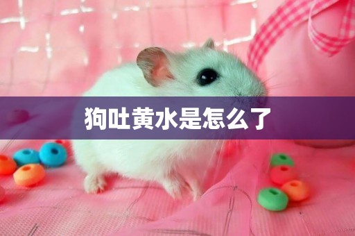 狗吐黃水是怎么了