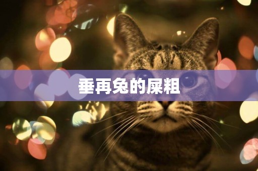 垂再兔的屎粗