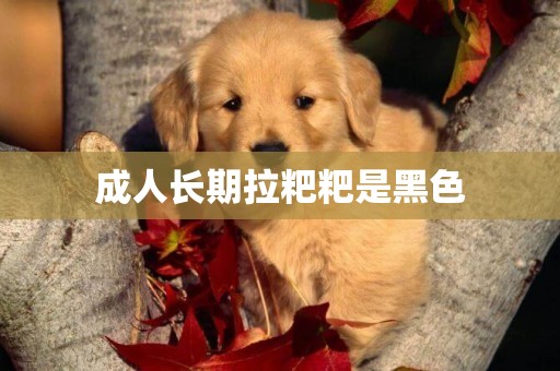 成人長期拉粑粑是黑色