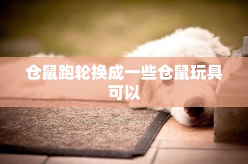 倉鼠跑輪換成一些倉鼠玩具可以