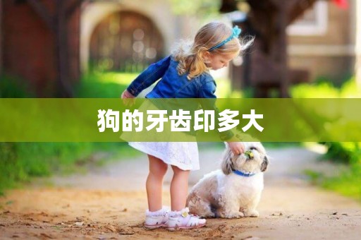 狗的牙齒印多大