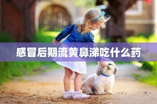 感冒后期流黃鼻涕吃什么藥