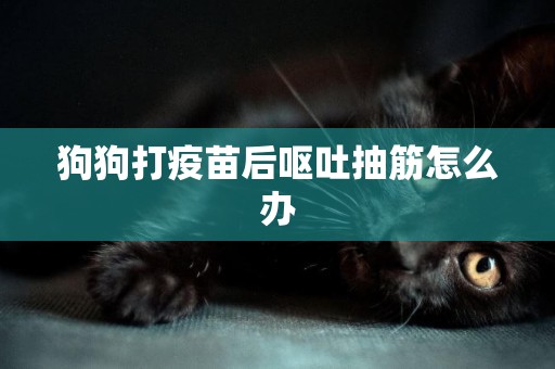 狗狗打疫苗后嘔吐抽筋怎么辦