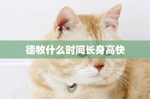 德牧什么時間長身高快