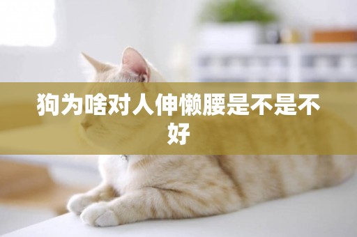 狗為啥對人伸懶腰是不是不好