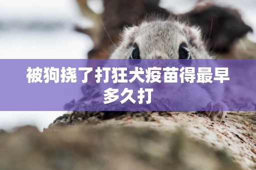 被狗撓了打狂犬疫苗得最早多久打
