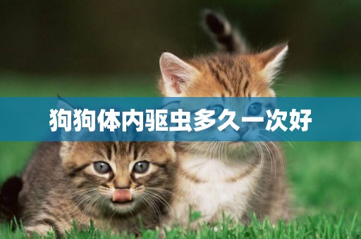 狗狗體內驅蟲多久一次好