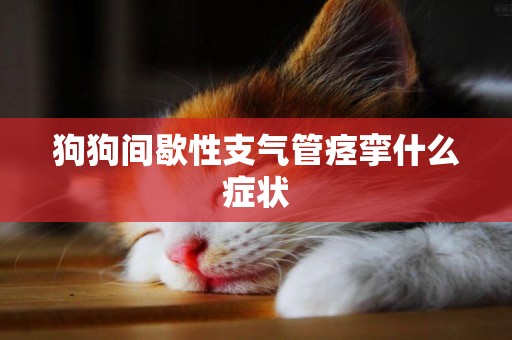 狗狗間歇性支氣管痙攣什么癥狀