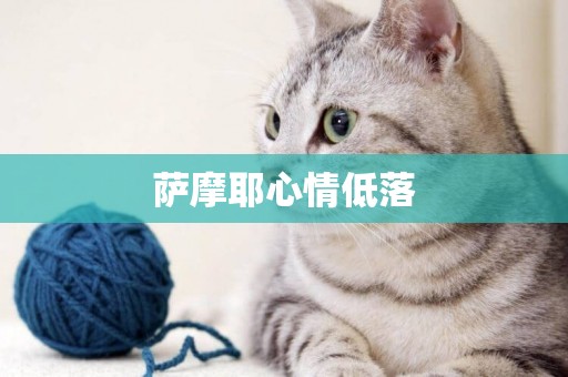 薩摩耶心情低落