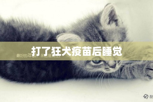 打了狂犬疫苗后睡覺