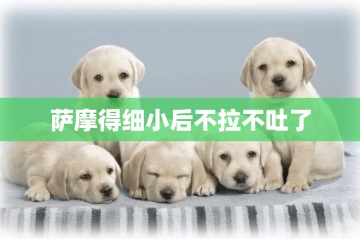 薩摩得細小后不拉不吐了