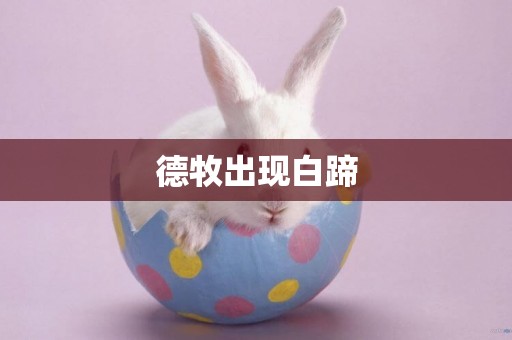 德牧出現白蹄