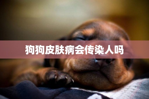 狗狗皮膚病會傳染人嗎