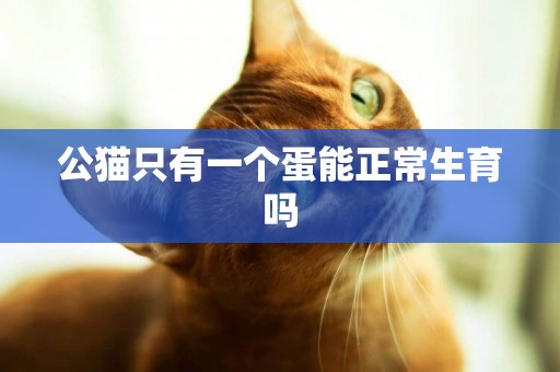 公貓只有一個蛋能正常生育嗎