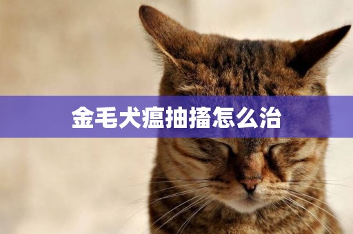 金毛犬瘟抽搐怎么治