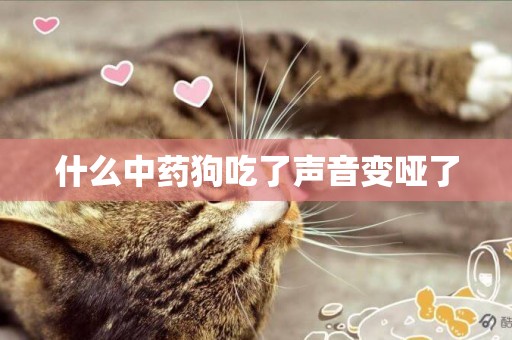 什么中藥狗吃了聲音變啞了
