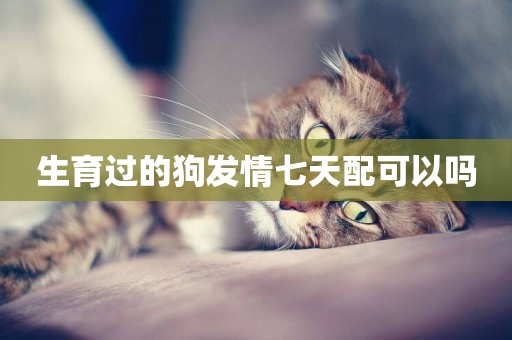 生育過的狗發情七天配可以嗎