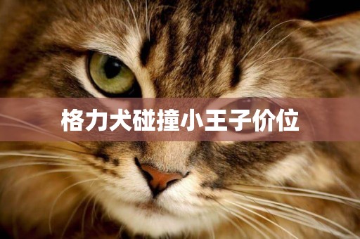 格力犬碰撞小王子價位